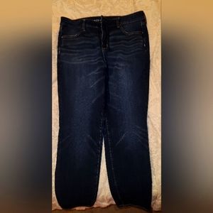 American Eagle Dream Jean Sz 14 Short